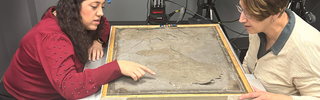 Two colleagues closely look at a fossilized object in a light wood frame.