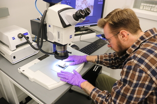 Individual wearing purple gloves examples a small object under a microscope with a bright light.