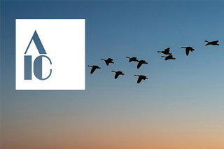 The AIC logo over a sunset with a silhouette of a flock of birds flying.
