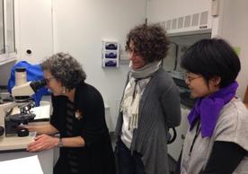 Debora Mayer (Harvard University), Marie-France Lemay (SML), and Soyeon Choi (YCBA) look at fibers under the stereomicroscope 
